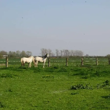 In With Wi-fi بيت للعطل