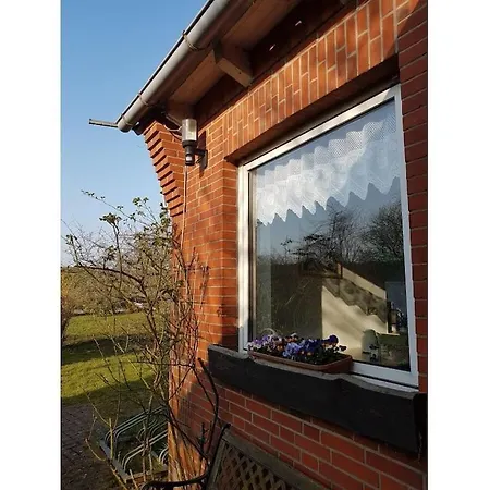 In With Wi-fi באליה