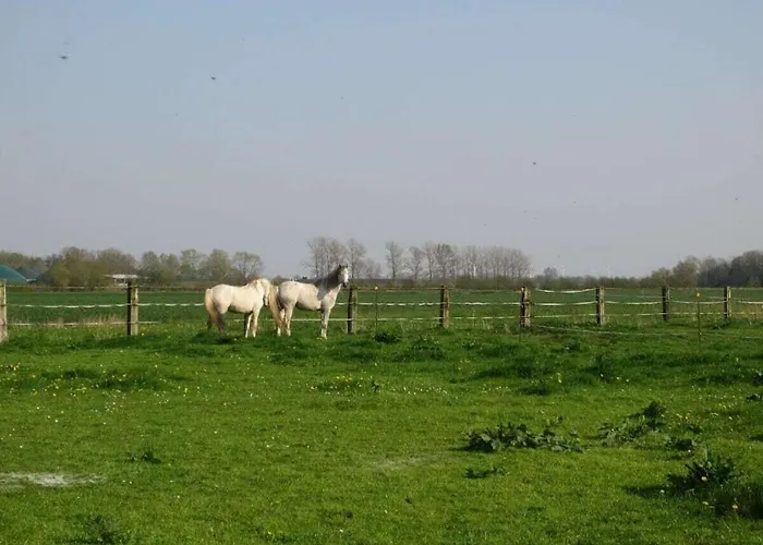 In With Wi-fi Дом отдыха