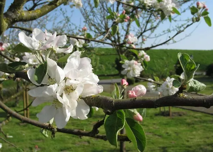 In With Wi-fi Дом отдыха Balje