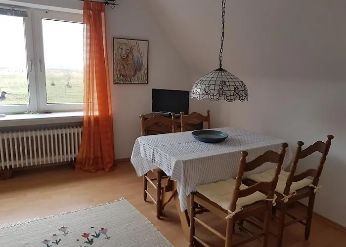 In With Wi-fi * Balje